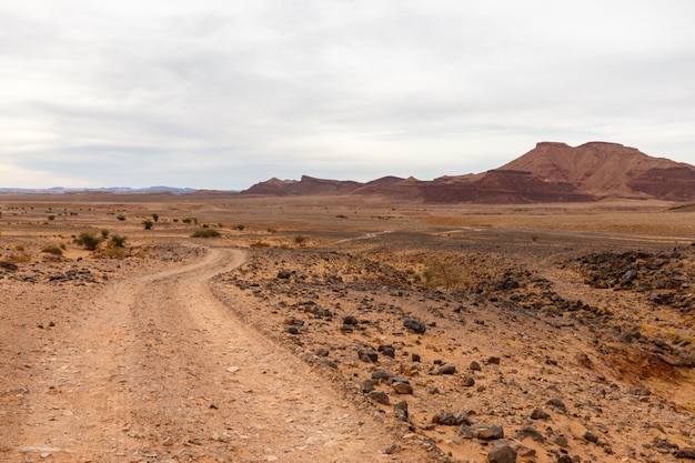 Weg in de woestijn, sahara woestijn, marokko