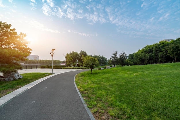 Weg in het park met boom eromheen