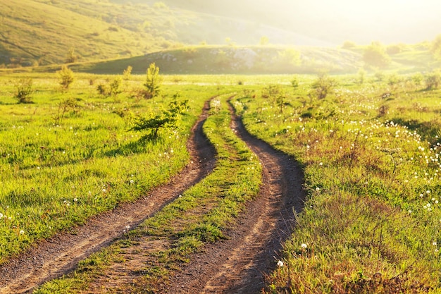 Weg in het veld