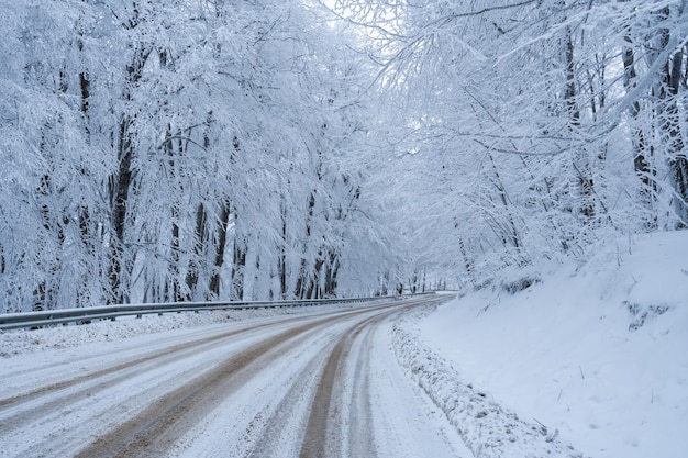 Weg in Sabaduri-bos met behandelde sneeuw. Wintertijd. Landschap. Georgië