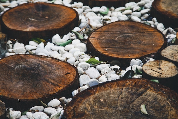 Foto weg in tuin, groene gazons met houten vloerwegen, het ontwerp van het tuinlandschap