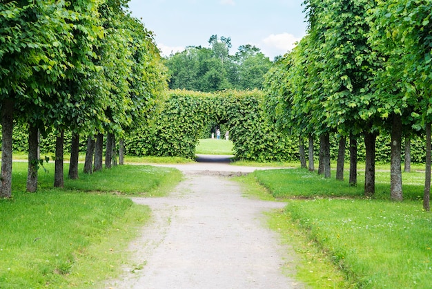 Weg langs bomen in het stadspark in Moskou