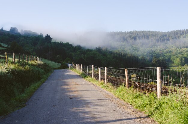 Weg met bergen op de achtergrond met mist.