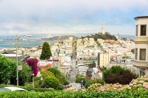 Weg met bomen en gebouwen in san francisco