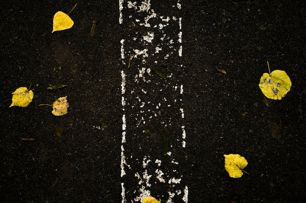 weg met gele bladeren. mooie herfst achtergrond