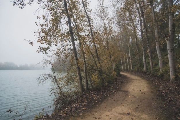 Foto weg naar de mist