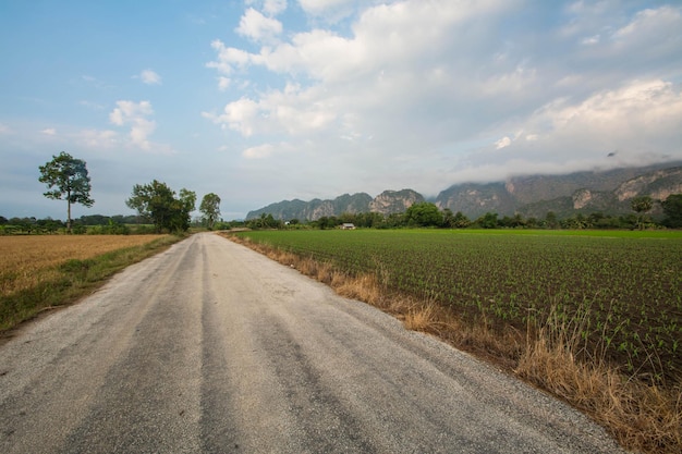 Weg naar het land in Uthai thani.Thailand