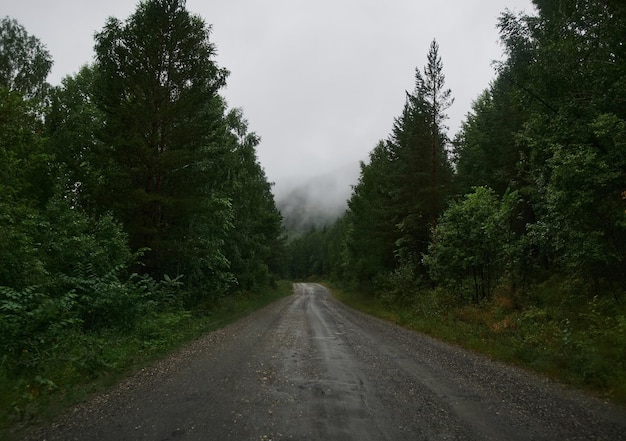 Weg nat modderig van backcountry platteland in regenachtige dag