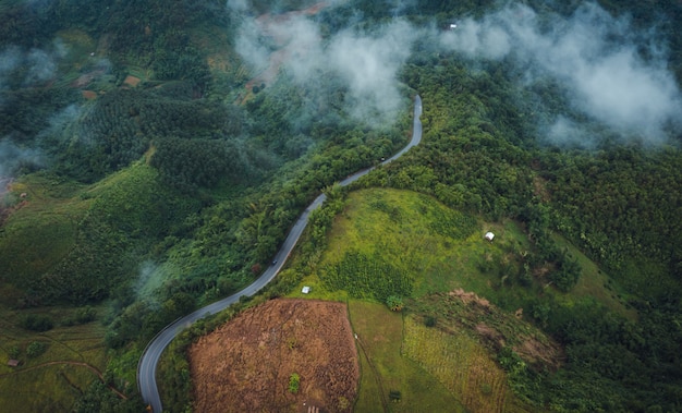 Weg op de berg in het regenseizoen bij doi Chiangraai Thailand