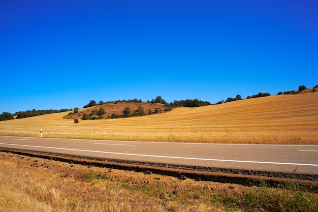 Weg op het platteland