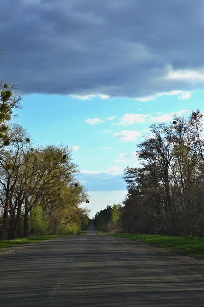 weg op het platteland