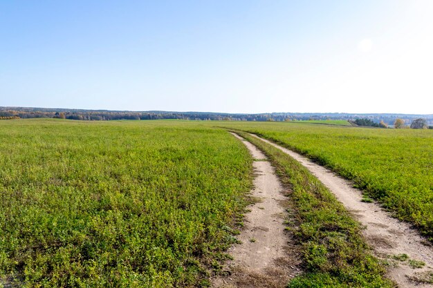 Weg op het veld tegen de lucht