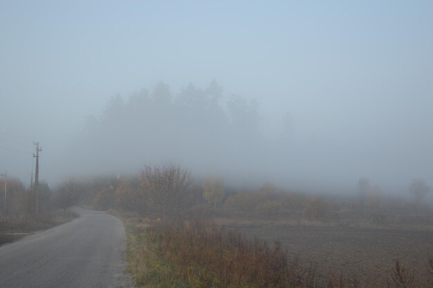 Foto weg te midden van bomen tegen de lucht tijdens mistig weer