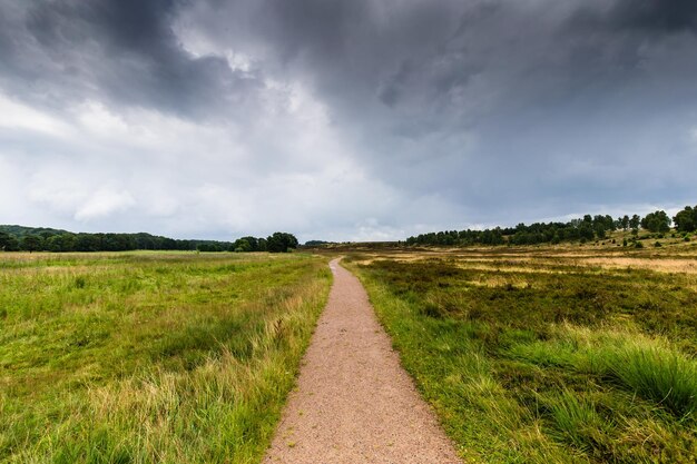 Weg te midden van het veld tegen de hemel