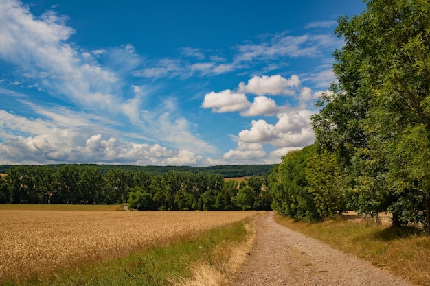Weg te midden van het veld tegen de hemel