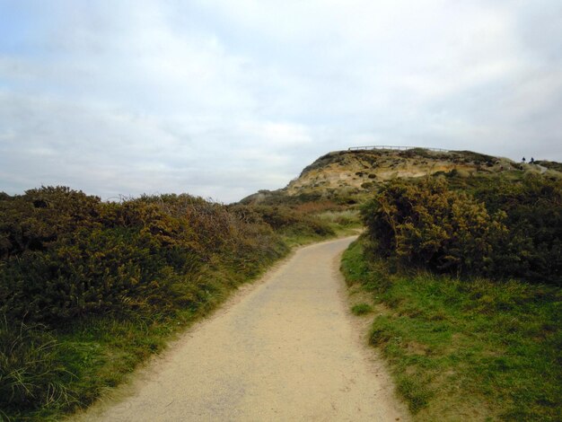 Foto weg temidden van groen landschap tegen de lucht