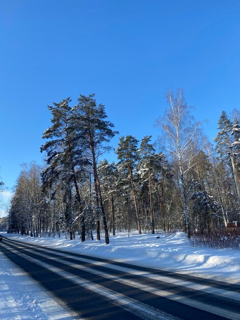 weg tussen een winterbos bedekt met sneeuw blauwe lucht ijskoude zonnige dag prachtige winter