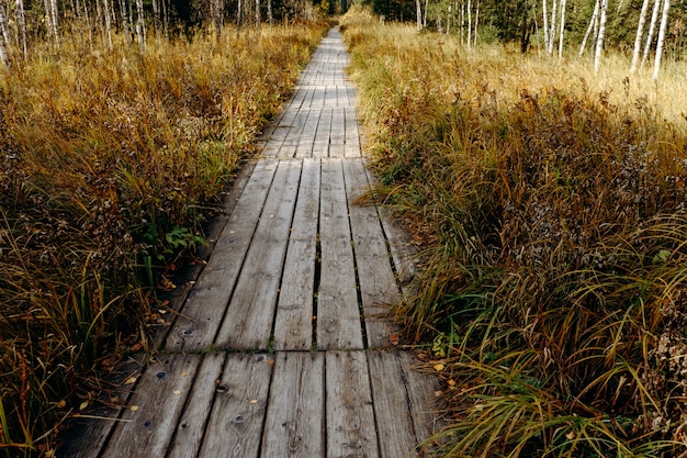 Weg van planken