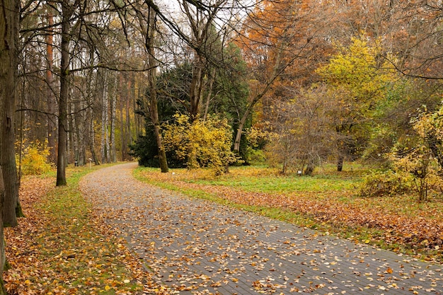 Weg voor voetgangers en fietsen in het herfstpark.