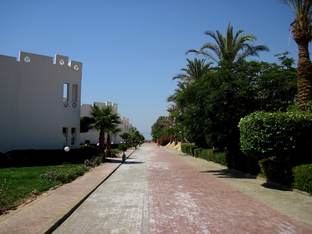 Weg zum strand in der hotelanlage im urlaub in aegypten