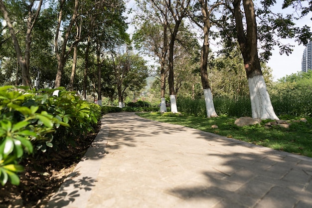 Wegen en groenstroken in het park