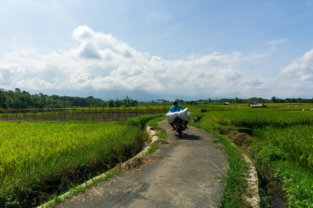 Weginfrastructuur en landbouwers die landbouwproducten in Indonesië vervoeren