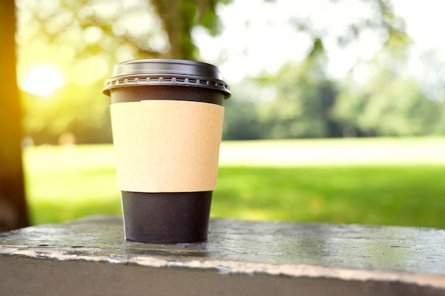 Wegwerp zwarte koffiekop, koffiekopje meenemen in het park