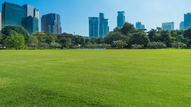 Weide groen gebied met bomen en gebouwentempel en groot paleis in blauwe hemel, Bangkok Thailand