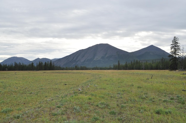 Weide in de vallei tussen de bergen van Yakutia