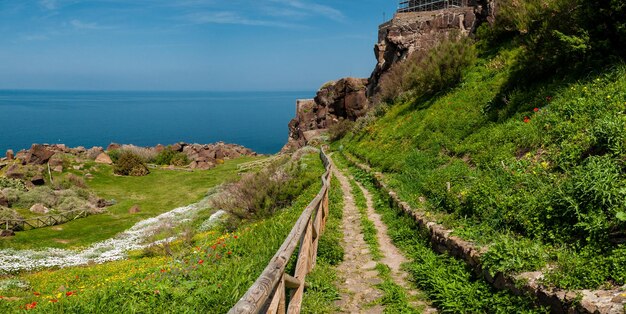 Weide onder het oude dorp op Castelsardo