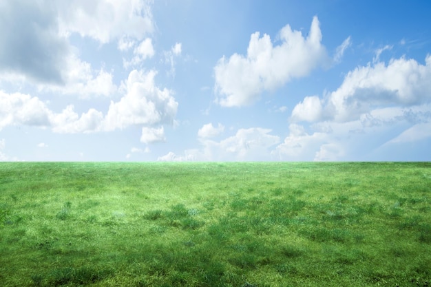 Weide veld met een blauwe hemeloppervlak. Wereld Milieu Dag