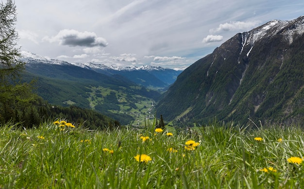 Weiden en bergen van de Oostenrijkse Alpen