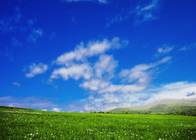 Weiden en lucht