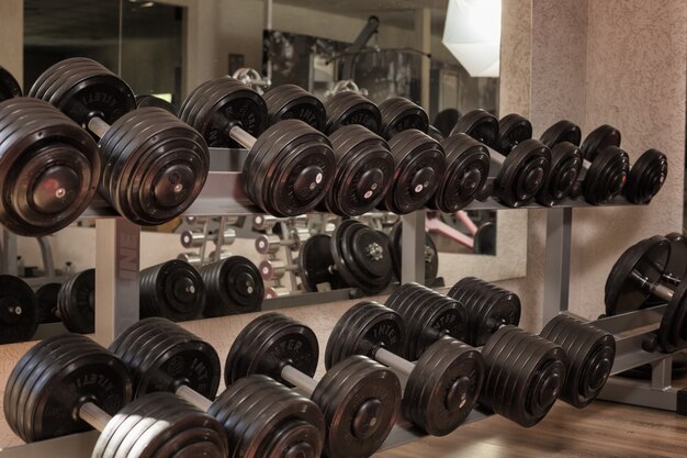 Weights are in a row in the gym