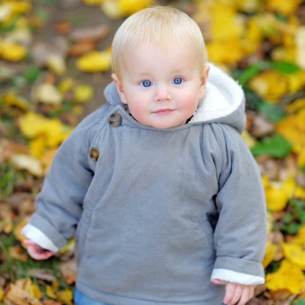 Weinig babyjongen in het de herfstpark