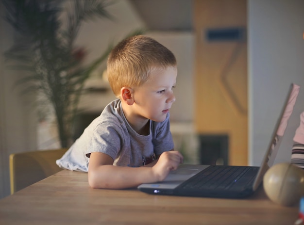 Weinig jongen die laptop bekijkt