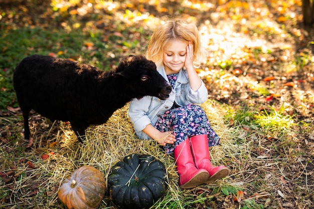 Weinig krullend blondemeisje in denimjasje en roze laarzen die op het stro zitten en zwarte binnenlandse schapen voeden. Farmer's life concept