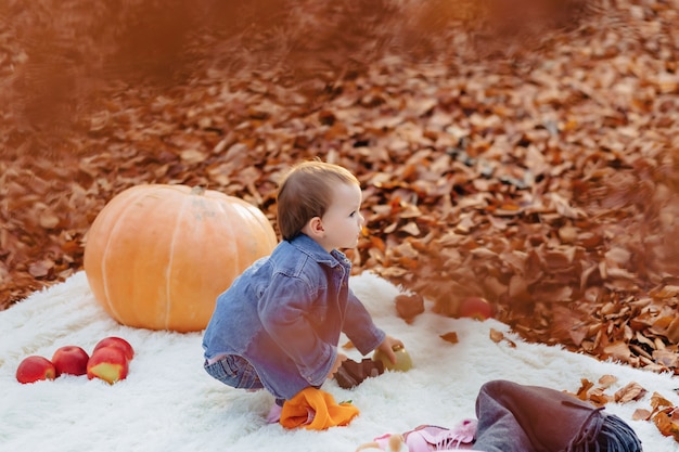 Weinig leuk kind in park op geel blad met pompoen in de herfst