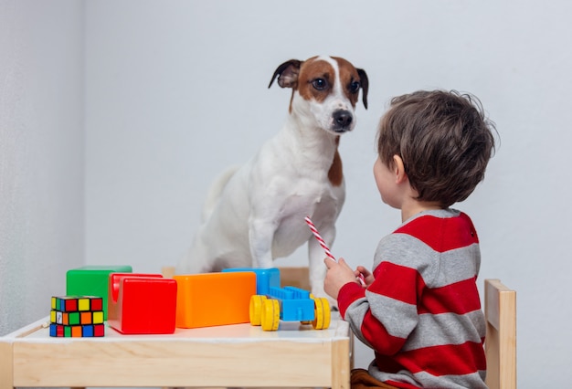 Weinig peuterjongen speelt bij lijst met een hond