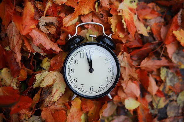 Wekker op herfstbladeren op natuurlijke achtergrond