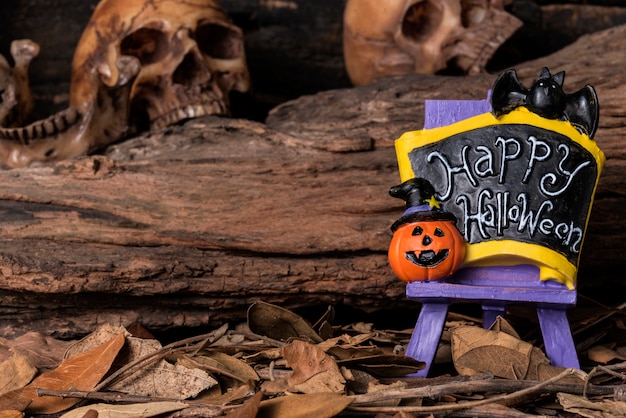 Foto festa di partito di benvenuto di halloween con il cranio umano e priorità bassa della foresta