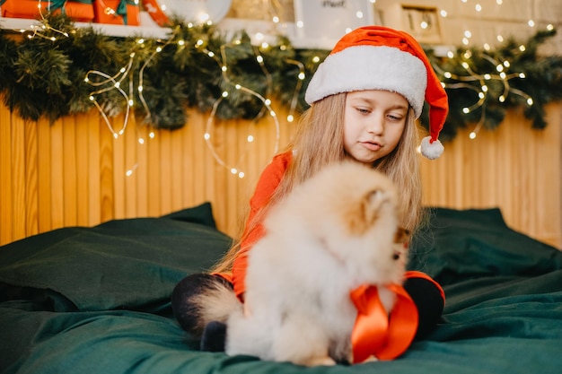 ポメラニアンの子犬のクリスマスへのウェルカムプレゼント。かわいい女の子がクリスマスプレゼントとして子犬を受け取りました。贈り物の喜び。幸せな子。