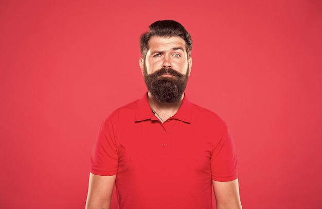 well groomed facial hair mature hipster serious look male beauty and fashion job of cashier trendy and brutal facial and beard care bearded man casual style professional barber red background