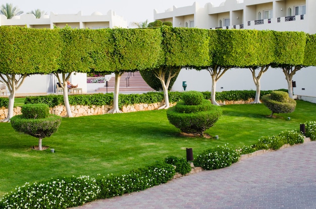 Ухоженная территория парка пятизвездочного отеля. Лето в Шарм Эль Шейхе.