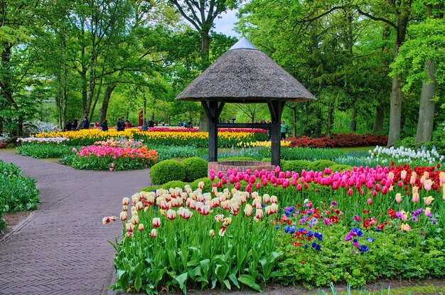 Well with colorful tulips in Keukenhof Park Lisse in Holland