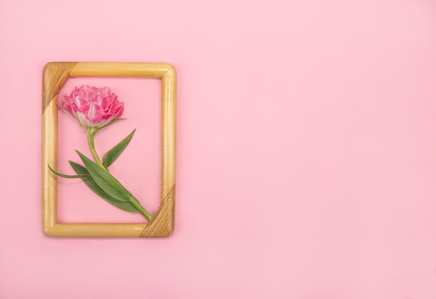 Wenskaart met een badstof tulp in een houten frame op een roze achtergrond voor de vakantie valentijnsdag of moederdag en pasen