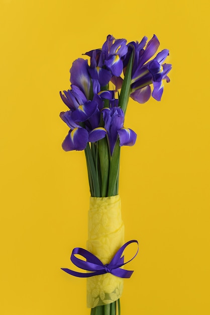 Wenskaart met lente Iris bloemen op gele muur. Een boeket irissen met een paars lint is geïsoleerd op een felgele muur. Lente samenstelling. Gelukkige vrouwen of moederdag.