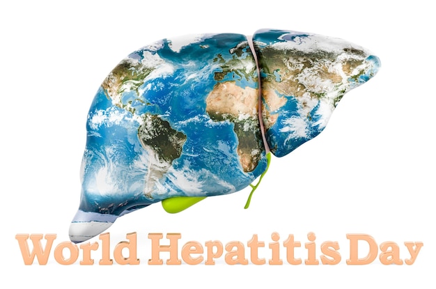 Wereld hepatitis dag concept Menselijke lever met Earth map textuur en inscriptie 3D-rendering