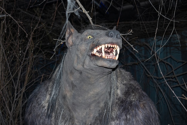 Werewolf's head among darkness and branches, grinning muzzle, in the Bestiary Museum - Saint Petersburg, Russia, June 2021.