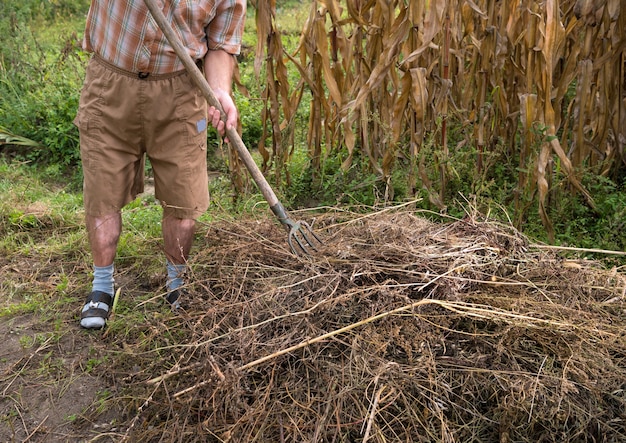 Werk in de tuin. Boer die gedroogde takken harkt. Herfst tijd